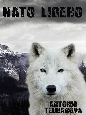 cover image of Nato Libero